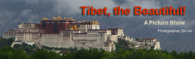 Tibet scenery picture show