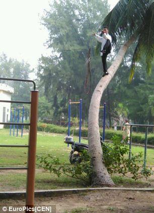 play taiji on palm tree