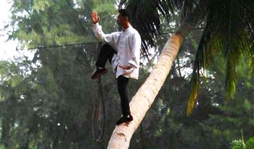 play tai chi on a tree