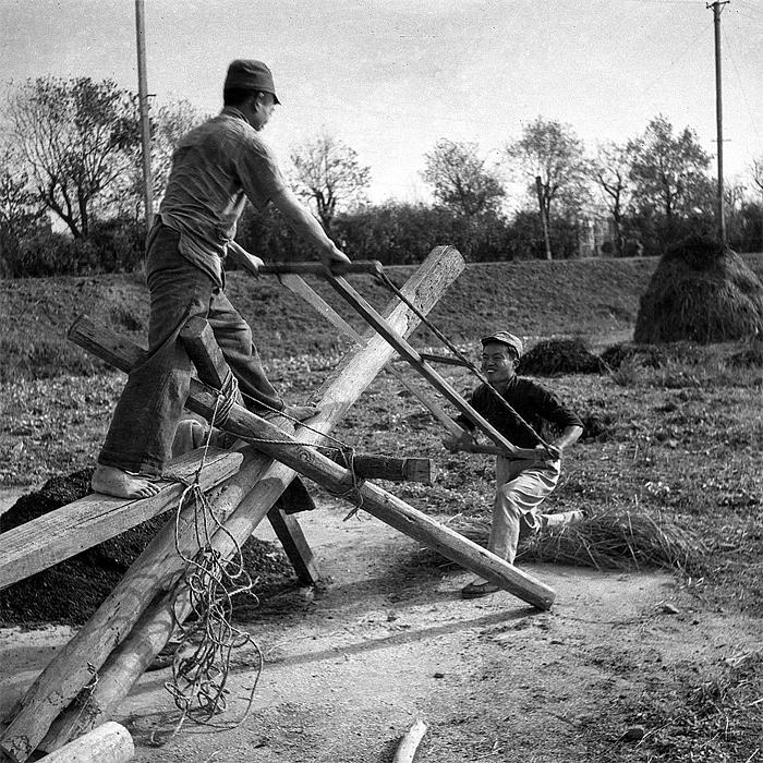 men using crosscut saw, old shanghai life