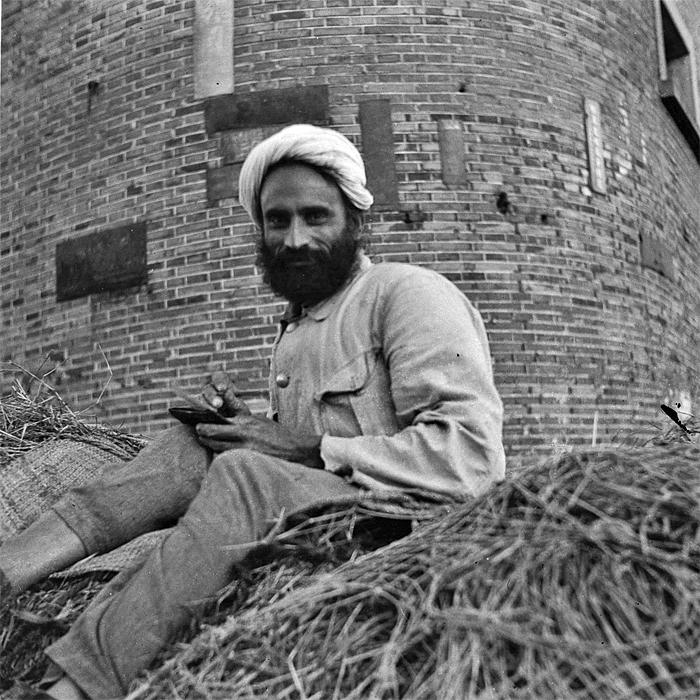 sikh on hay wagon, old shanghai picture