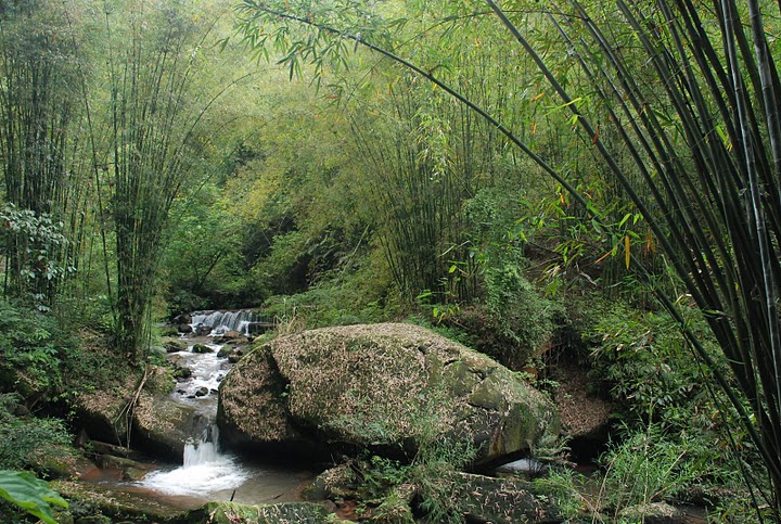 guizhou pictures