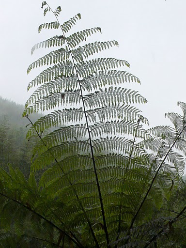 guizhou pictures