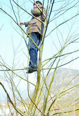 just for a better cellphone signal