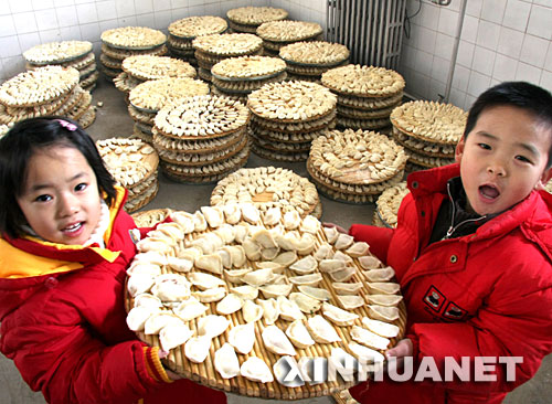 dumplings are ready to cook