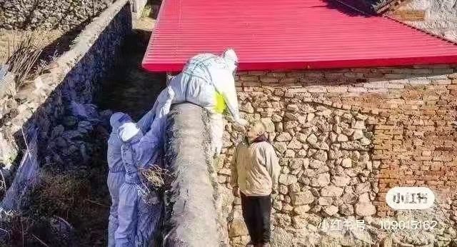 covid 19 exam in china