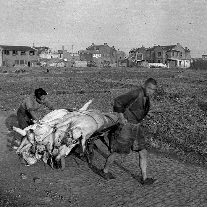 pigs to market, old shanghai life